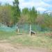 Пейнтбольный клуб Sabotage в городе Лыткарино