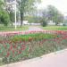 Цветочная клумба в городе Москва