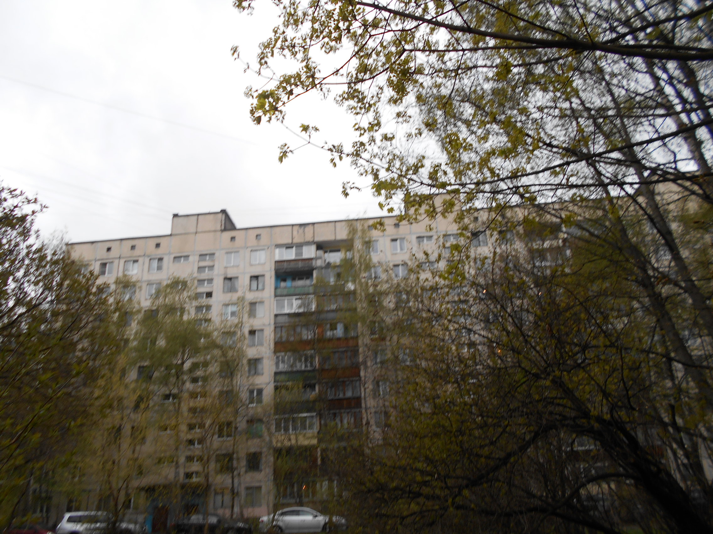 просп. Солидарности, 9 корпус 1 - Санкт-Петербург