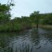 Pond