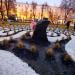 Хедж-лабиринт «Лабиринт желаний» в городе Воронеж