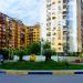 Roundabout in Tirana city