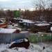 Собачий питомник в городе Москва