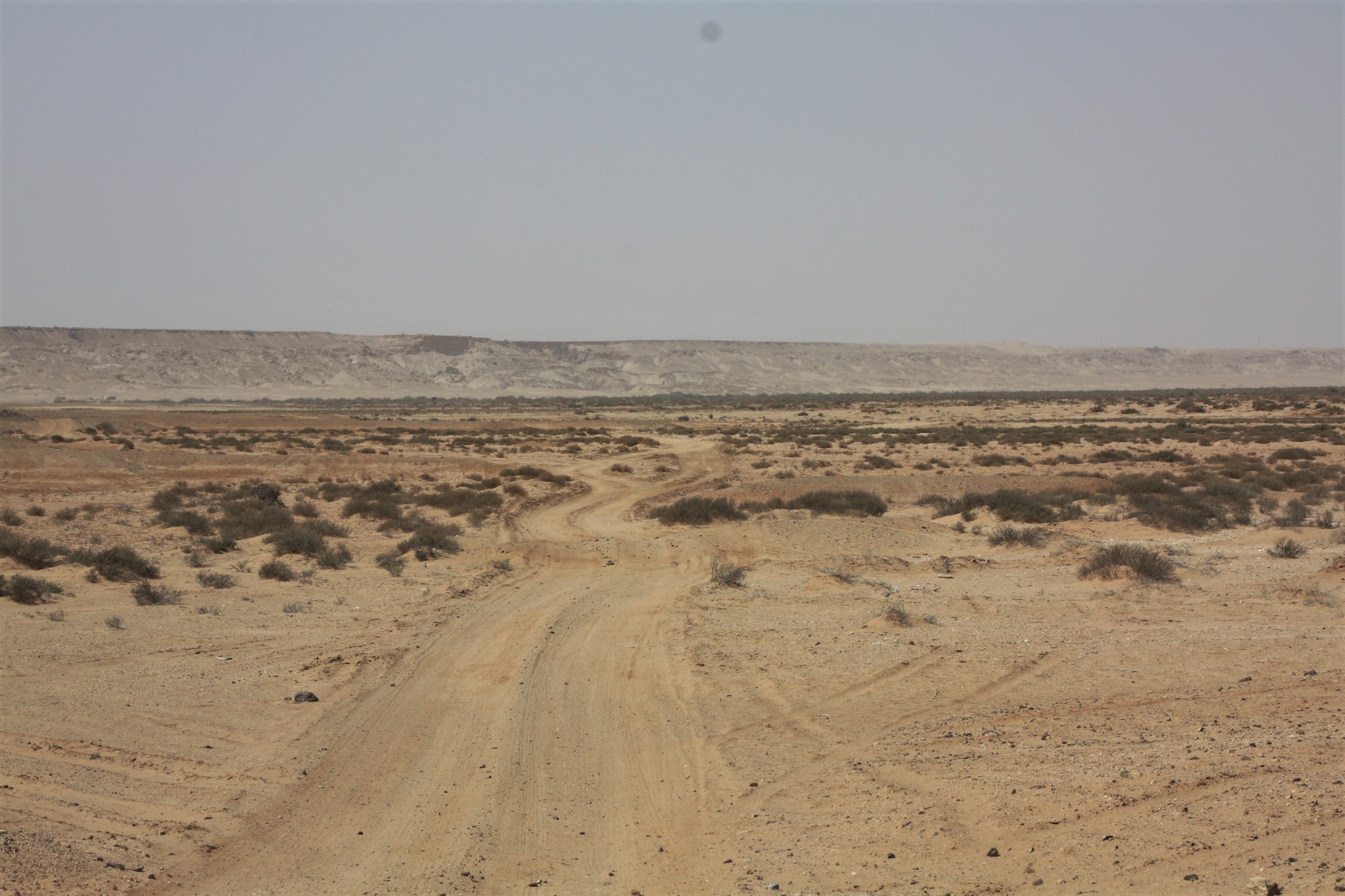 Uad as Saguia al Hamra
