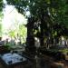 The grave of Boniecki family