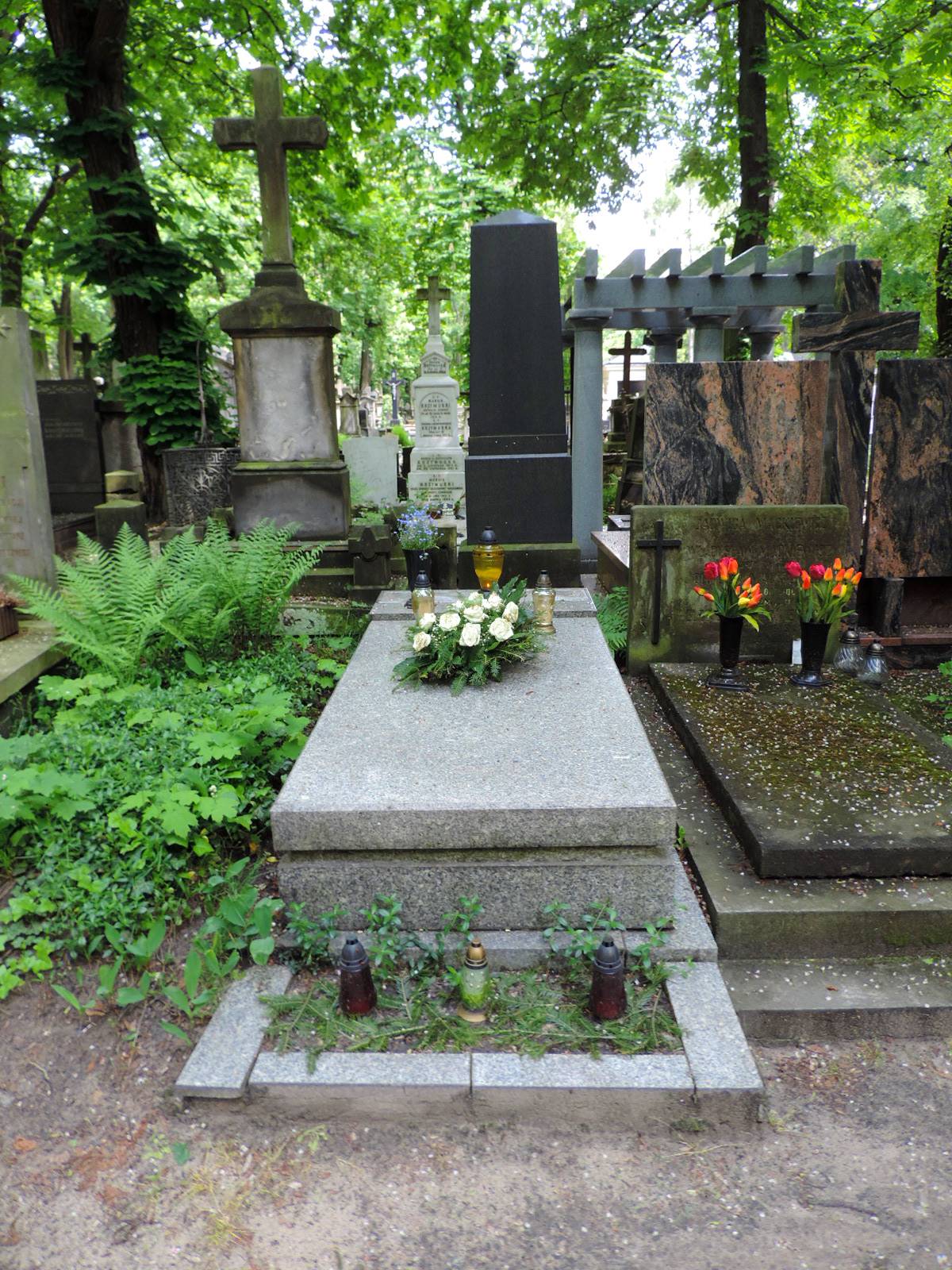 The Grave Of Witold Nowacki - Warsaw