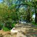Cemetery