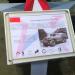 Советский бронетранспортер БТР-152 (второй экспонат) в городе Кубинка