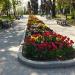 Цветочная клумба в городе Севастополь
