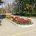 Цветочная клумба в городе Севастополь
