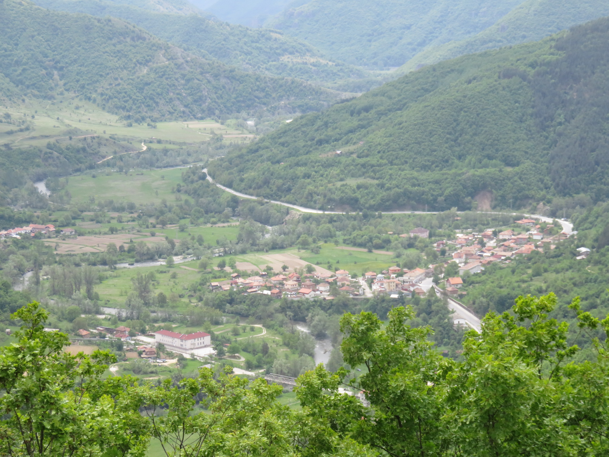 Mesta