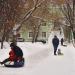 Зелёная зона в городе Казань