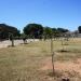 Camping dans la ville de Safi / Asfi