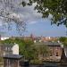 Zaroślak Wewnętrzny in Gdańsk city