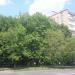 Фестивальная ул., 3 в городе Москва