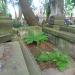 The grave of Antoni Rozbicki in Warsaw city