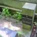The grave of Marian Chodacki in Warsaw city