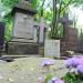The grave of Bolesław Mierzejewski in Warsaw city