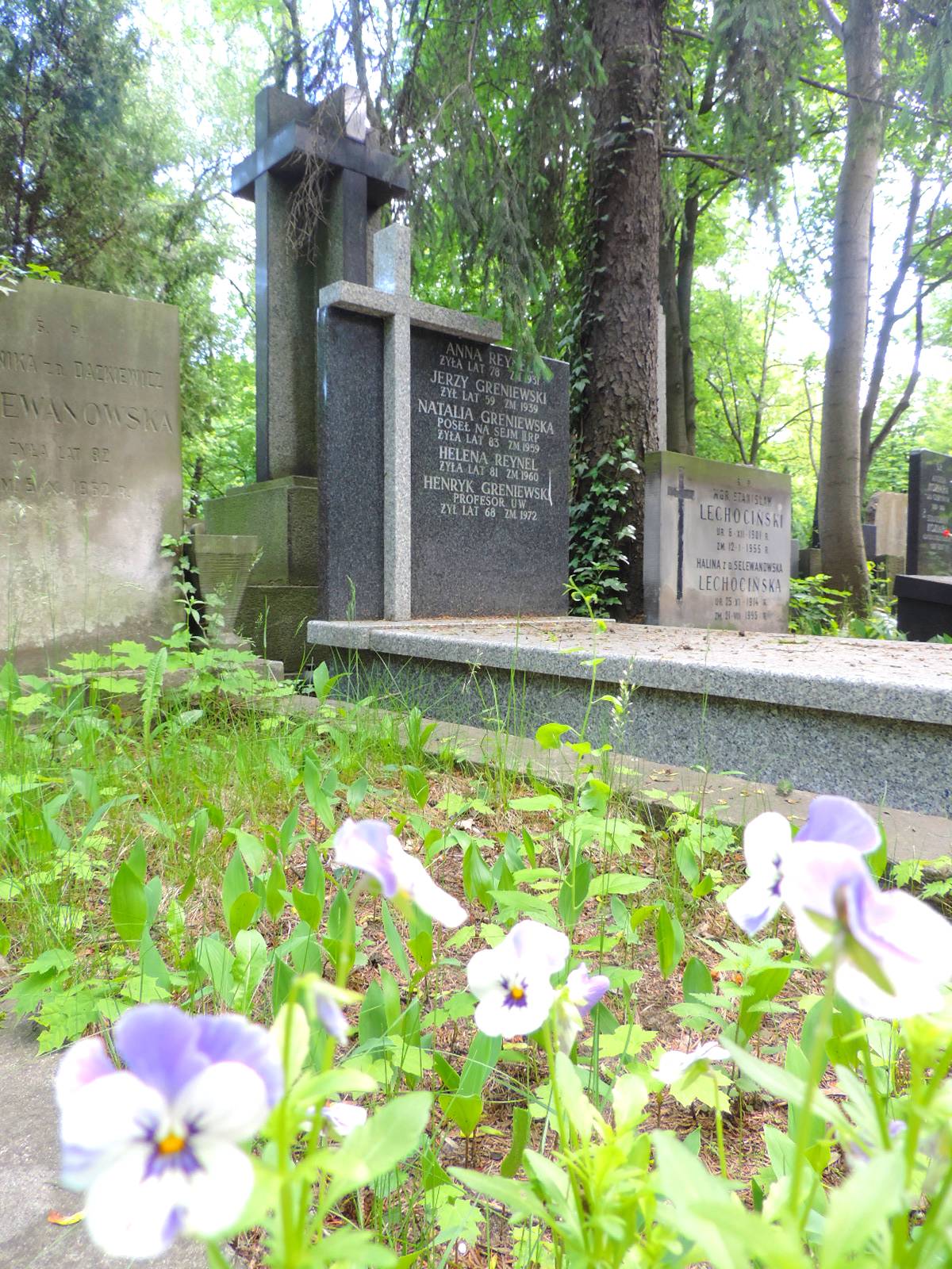 The grave of Henryk Greniewski Warsaw
