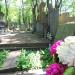 The grave of Irena Horecka in Warsaw city