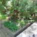 The grave of Witold Plapis in Warsaw city