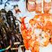 Магазин Chef Lobster в городе Казань