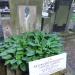 The grave of Wiktor Biernacki in Warsaw city