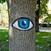 Деревья с изображением глаз в городе Киев