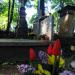 The grave of Adam Karasiński in Warsaw city