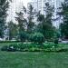 Клумба в городе Москва