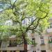 Kamienica Colonny-Walewskiego (pl) in Warsaw city