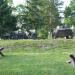 Площадка с военной техникой в городе Пинск