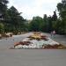 Цветники в городе Севастополь