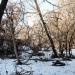 ул. Пятницкого, 34 в городе Воронеж
