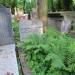 The grave of Hiranmoy Ghoshal in Warsaw city