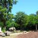 Elephant exhibit in Warsaw city