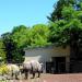 Indian rhinoceros barn