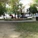 Клумба в городе Москва