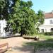 Park dla psów (pl) in Warsaw city