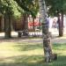 Велосипедная парковка в городе Москва