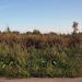 Жилой дом Е.И. Спиридонова (ru) in Uusi Laatokankaupunki city