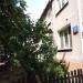 Stefana Czarnieckiego Street, 44 in Warsaw city