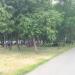Сквер в городе Москва