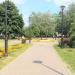 Клумба в городе Москва