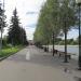 Ивовая аллея в городе Москва