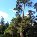 Park (pl) in Exeter city