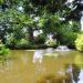 Czerwony Staw (pl) in Exeter city