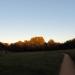 Priory Road Park in Exeter city