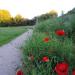 Priory Road Park in Exeter city