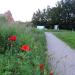 Priory Road Park in Exeter city